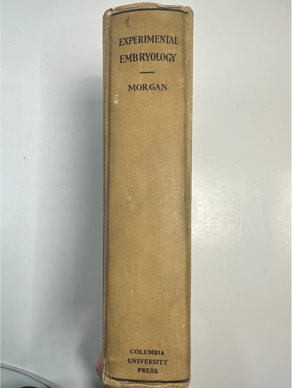 Experimental Embryology Thomas Hunt Morgan 1927 Antique Medical Book Diagrams